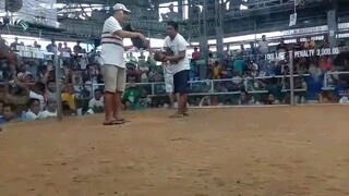 ( 1st fight W )  28June2023 @Segundo Lim Tagbilaran, Bohol...