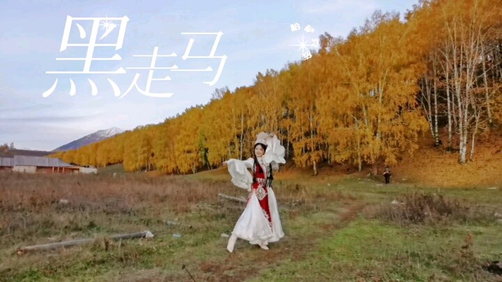 哈萨克族舞蹈《黑走马》实地外景即兴版