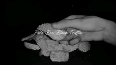 Camilan Pota Bee Black Truffle