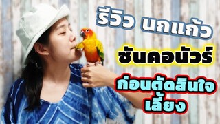 รีวิวนกแก้วซันคอนัวร์ ก่อนตัดสินใจเลี้ยง ดีไหม!