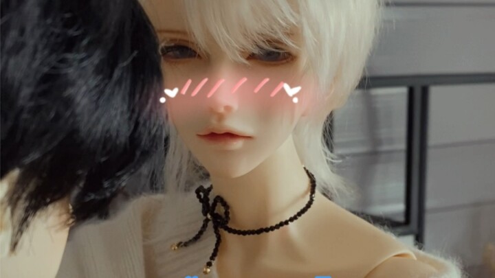 【BJD】Who wouldn’t be dissatisfied with the veteran attacker with broad shoulders and thin waist!