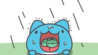 Kapo is a kind and good cat