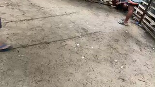 lakas ng bakbakan