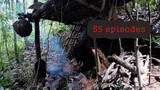 Wilderness Survival In The Jungle In Southeast Asia