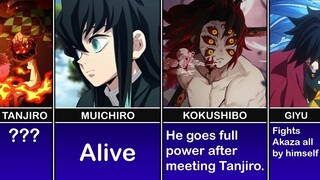 What if Tanjiro Also Fought Kokushibo I The AnimeScript