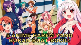 INIKAN ANIME HAREM YANG KALIAN CARI?