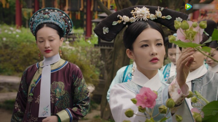【Ruyi's Royal Love in the Palace】This flower is called Beauty Face...