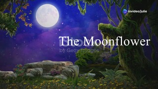 The Magical Moonflower A Bedtime Story