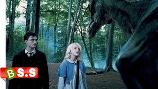 Harry Potter and the Order of the Phoenix Movie Explained In Hindi/Urdu