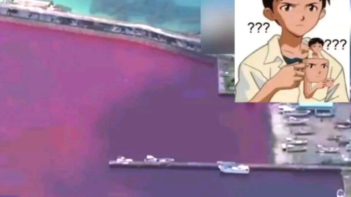 日本酒厂泄漏染红海面的新闻，，，，等等，好眼熟