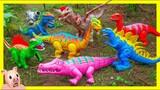 Con Cá Sấu, Con Khủng Long Bạo Chúa Tyrannosaurus, Tìm đồ chơi trong vườn - Bé học động vật