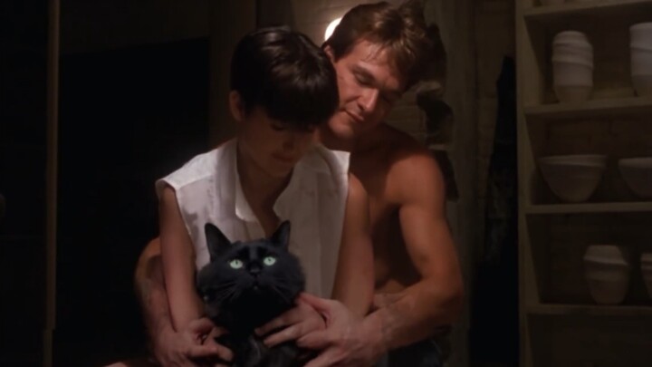 ASP Creative｜OwlKitty mempersembahkan koleksi film kucing Hollywood klasik🐱