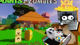 Minecraft Plant Vs Zombie Series 12 การเลี้ยงแมวนั่นมันไม่ง่ายเลย