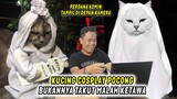 REACTION # 1 Drama Lucu Ketika Kucing Cosplay Jadi Hantu Pocong - Bukanya Takut Malah Bengek 😂