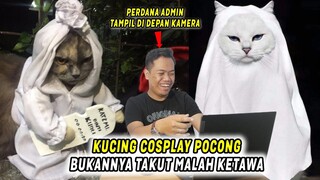 REACTION # 1 Drama Lucu Ketika Kucing Cosplay Jadi Hantu Pocong - Bukanya Takut Malah Bengek 😂