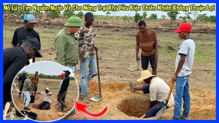 Đông Paulo || Nỗ Lực Tìm Nguồn Nước Về Cho Nông Trại Khi Điều Kiện Thiên Nhiên Không Thuận Lợi