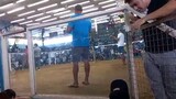 3cock ulutan 3rd fight Using Bulik By sir @Randy Hebron Win Champion