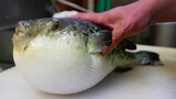 Nhật Bản thức ăn đường phố - Cá nóc hải sản