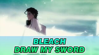 Bleach|You are the reason why I draw my sword!
