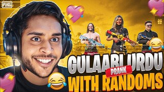 Gulaabi Urdu 😂 Prank With Randoms Gone Insane 🔥 Funniest