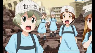 Cells at Work!! - Best Moments - Megakaryocyte