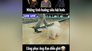 tictok xemcamcuoi thichroiday phimhay trend funnyclip ngạcnhiênchưa vui hay cười haihuoc nghich haha hehe hohoho hahaha