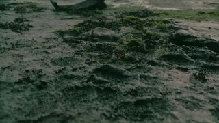 Life goes on - Ed sheeran (Music video)