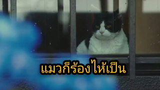 สปอยล์ ผม แมว และการเดินทางของเรา The Travelling Cat Chronicles (2018)