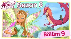 Winx Club - Sezon 6 Bölüm 9 - Yeşil Ejderha'nın Tapınağı