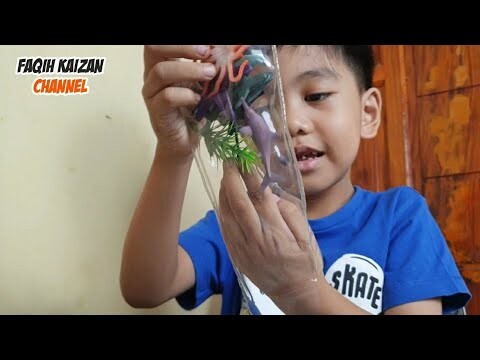 Faqih buka mainan hewan laut lagi