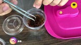 [เลี้ยงเเมงมุม]EP4ให้อาหารลูกแมงมุม | sling feeding
