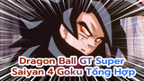 Dragon Ball GT
Super Saiyan 4 Goku Tổng Hợp