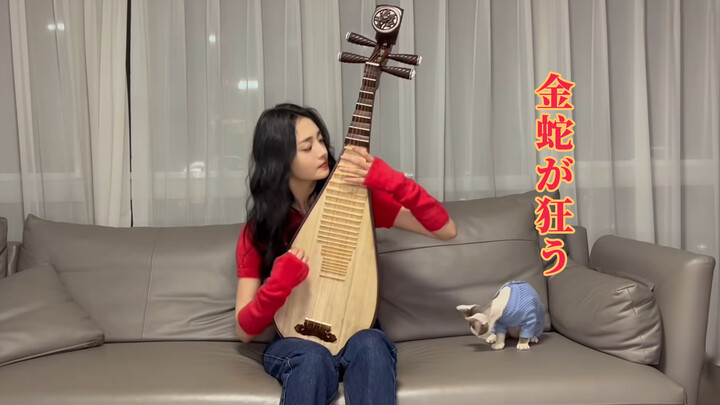 [Zhou Jieqiong "Pinky"] Lagu "Jinshe Kuang Wu" (Tarian Gila Ular Emas)
