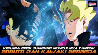 KENAPA EFEK SAMPING MUNCULNYA TANDUK KAWAKI DAN BORUTO BERBEDA?