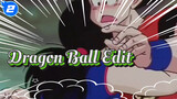 Dragon Ball Edit_2