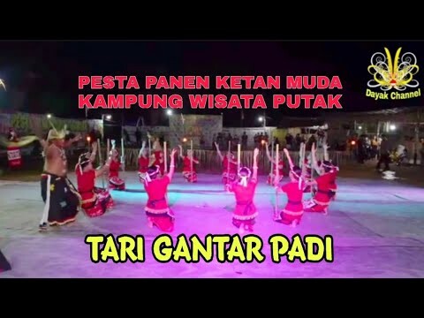 Tari Gantar Padi Kampung Wisata Putak Loa Duri Ilir | Festival Seni Budaya Tunjung Benuaq
