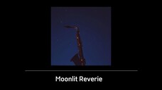 Moonlit Reverie
