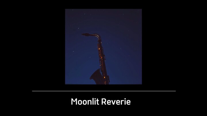 Moonlit Reverie