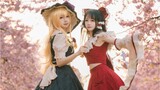 Reimu ♥ Hoa anh đào của Marisa Gensokyo | Bánh bao-chan & Baka Ai