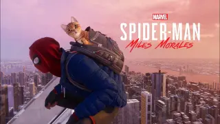 RESCUING “SPIDERMAN" THE CAT | SPIDERMAN MILES MORALES