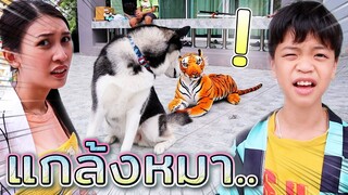 แกล้งหมา..ไม่สำเร็จ !! เสือกับสิงโตจะหลอกใครได้ ?! - DING DONG DAD