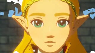 [Salah paham? / Zelda] Yang Mulia, putri nomor satu di dunia