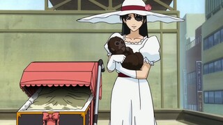 Công việc hàng ngày của Gintama