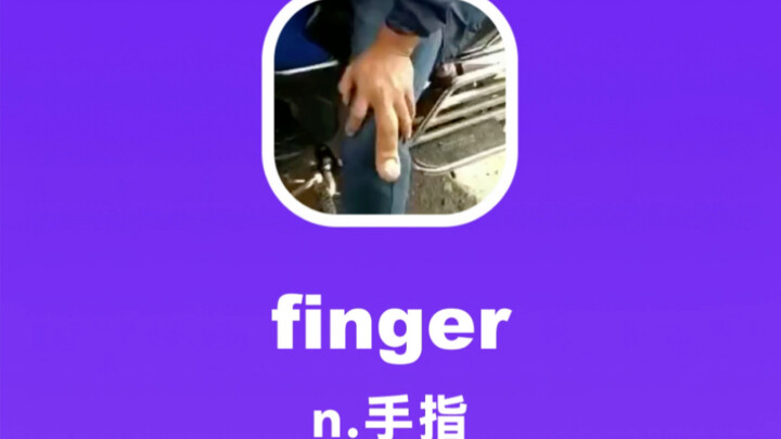 finger：手指