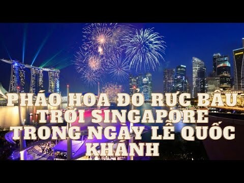 #Shorts - Chiêm Ngưỡng Màn bắn Pháo Hoa Tuyệt Đẹp Đỏ Rực Bầu Trời Marina Singapore