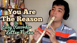 You Are The Reason (Calum Scott) Recorder Cover with Easy Recorder Flute Letter Notes