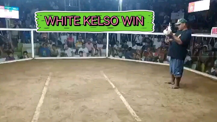 ANOTHER WHITE KELSO WIN, SISIW BINILI SAKIN NGAYON WINNER NA