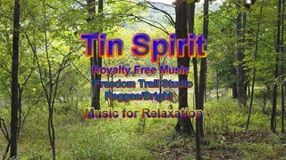 Tin Spirit_Creative Music for Relaxation