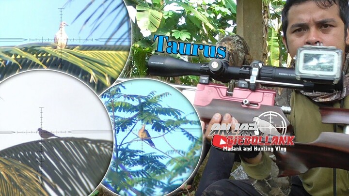 Perdana Pakai Vector Taurus