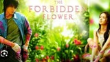 THE FORBIDDEN FLOWER Episode 12 Tagalog Dubbed